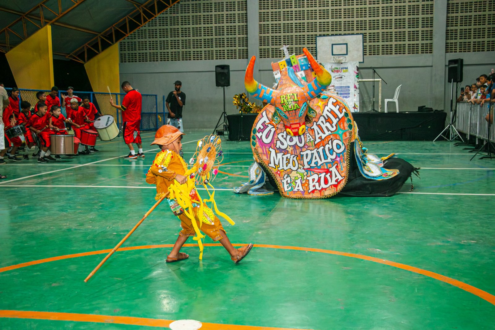 Projeto Tem Bumba Meu Boi na Área